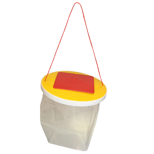 Redtop Fliegenfalle